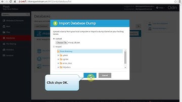 Hướng dẫn - Khôi phục cơ sở dữ liệu MS SQL trên Hosting plesk12 | P.A Việt Nam