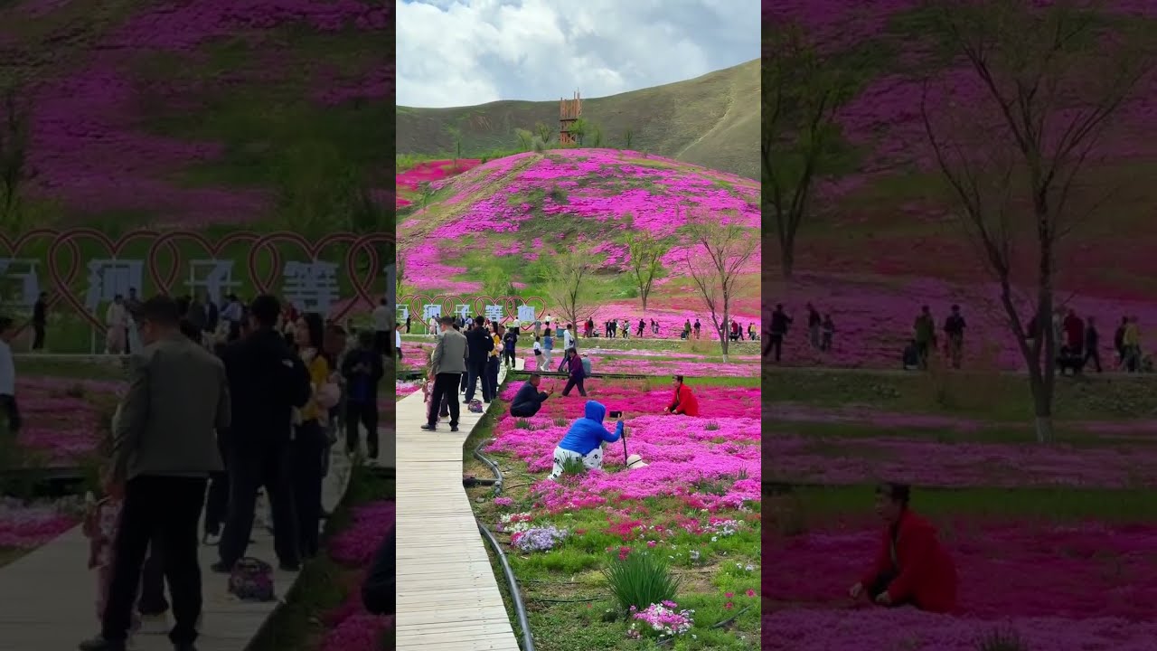 General Mountain Park In Shihezi