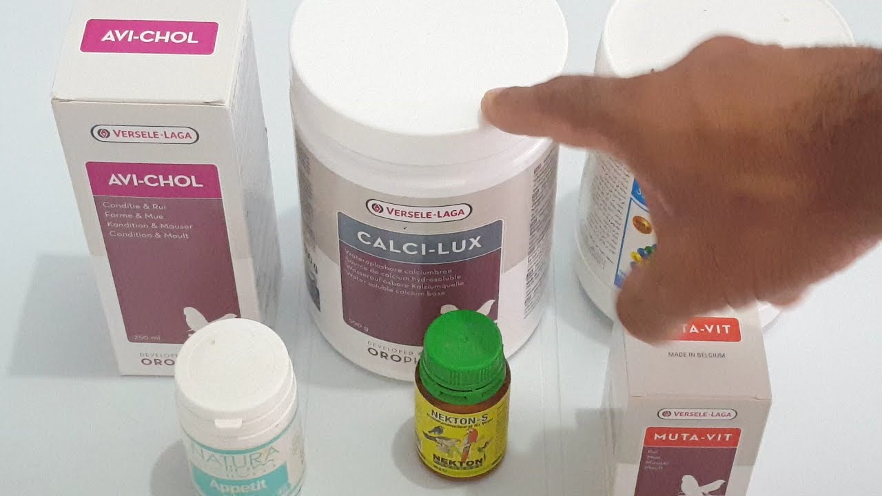 تعرف على أهم الفيتامينات التي تقدمها لطيورك