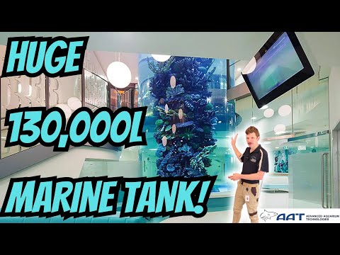 130,000 Litre Marine Tank! Behind The Scenes Tour!!!