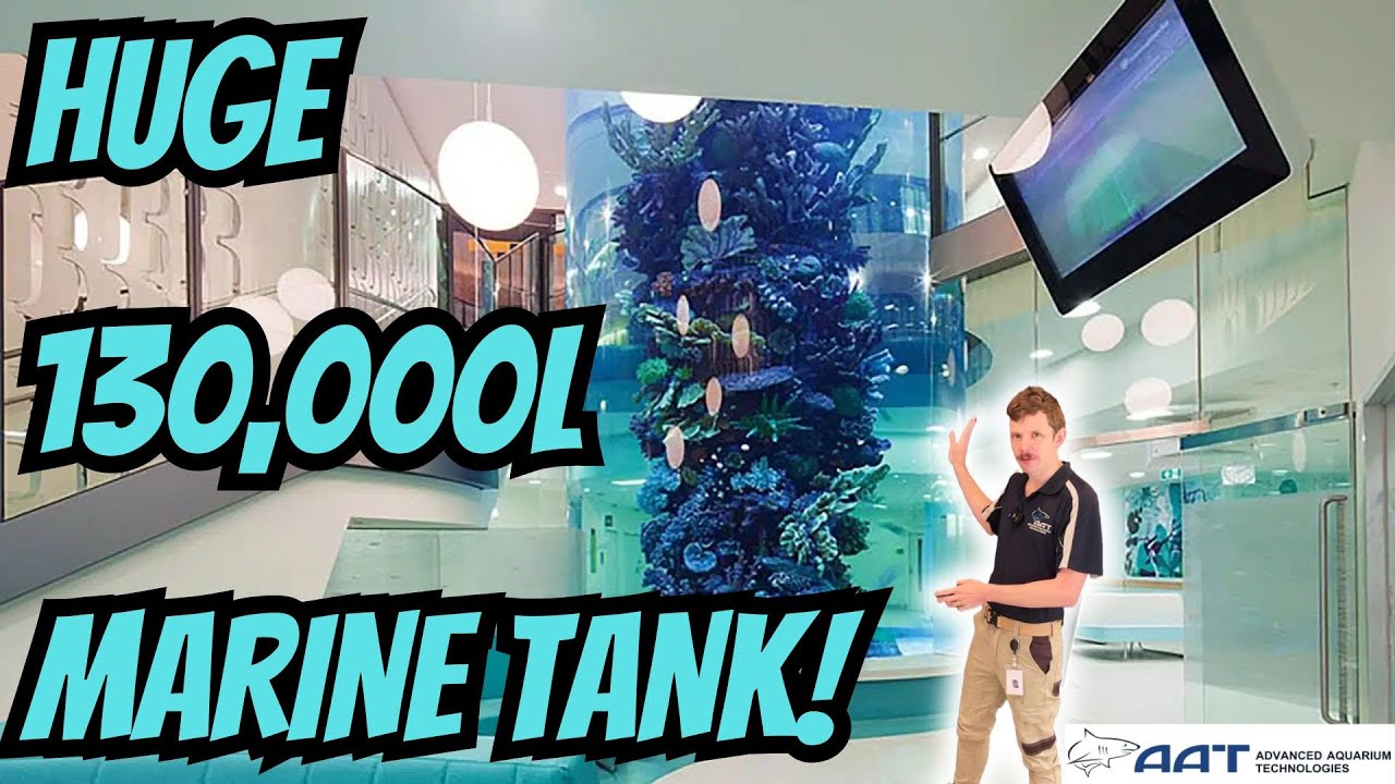 130,000 Litre Marine Tank! Behind The Scenes Tour!!!