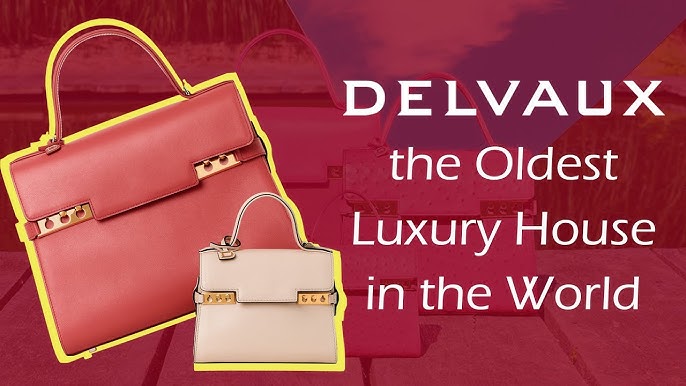 The DELVAUX BRILLANT LUXURY BAG Overview (Everything You Need To