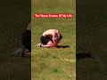 This Is What 1,000 Paintballs Did To Me 😱 #shorts #funny #entertainment