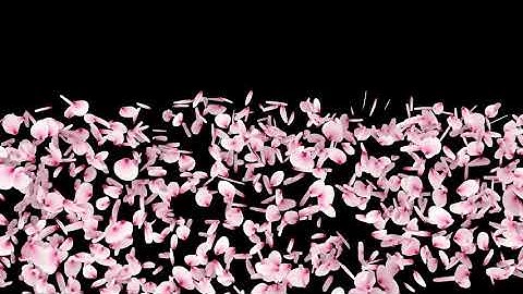 Particles Transitions | No Copyright | No Plugins Required | Easy To Use