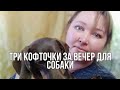 Влог вязание . Три кофточки за вечер для собаки.❤️