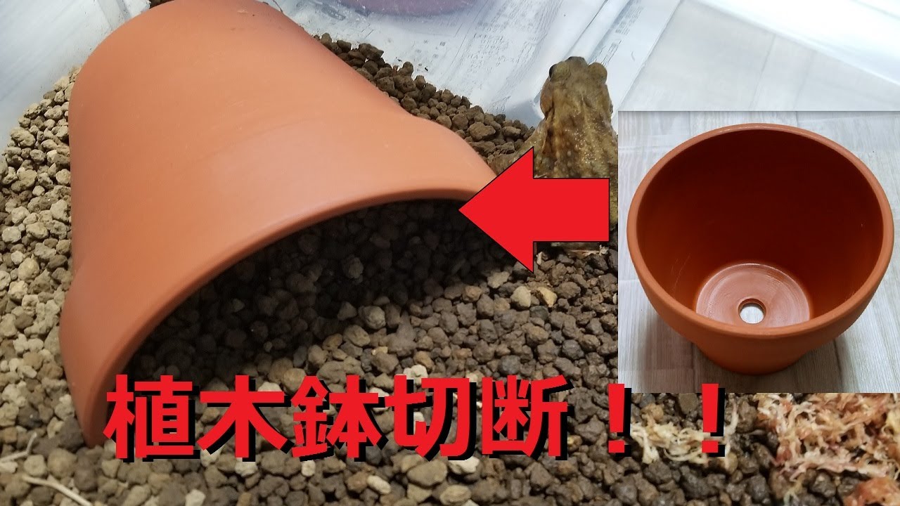 素焼きの植木鉢を切断してカエルのシェルターを作る - YouTube