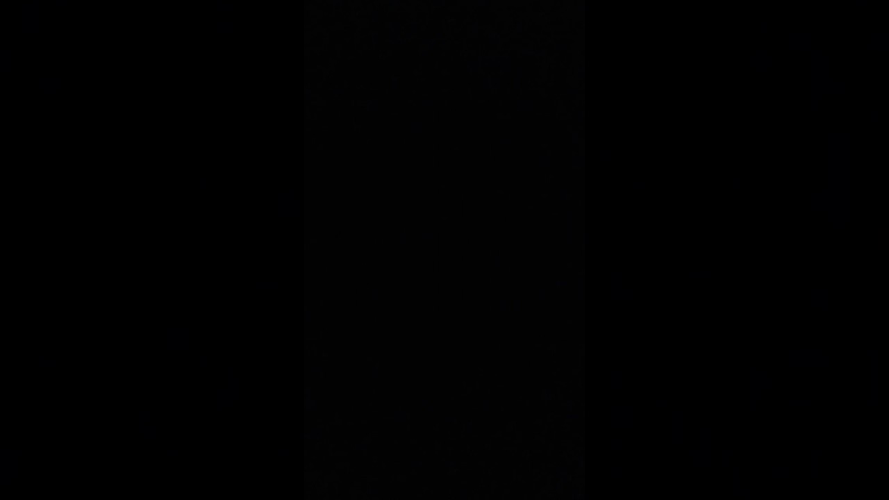 My Talking Tom 2 Jogo Ligue - Ligue Estréia dia 29 de setembro para Yumi Sábias atualizado