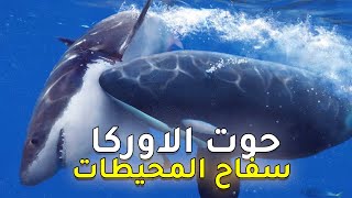 وثائقي عن مُرعب المحيطات ومُخيف القرش الابيض | حوت الاوركا ، الحوت القاتل !