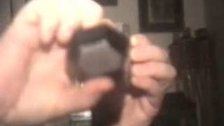 The Multiplying Die Trick