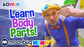 Learn Body Parts with Blippi | Science Lessons for Kids | Blippi Educational Videos