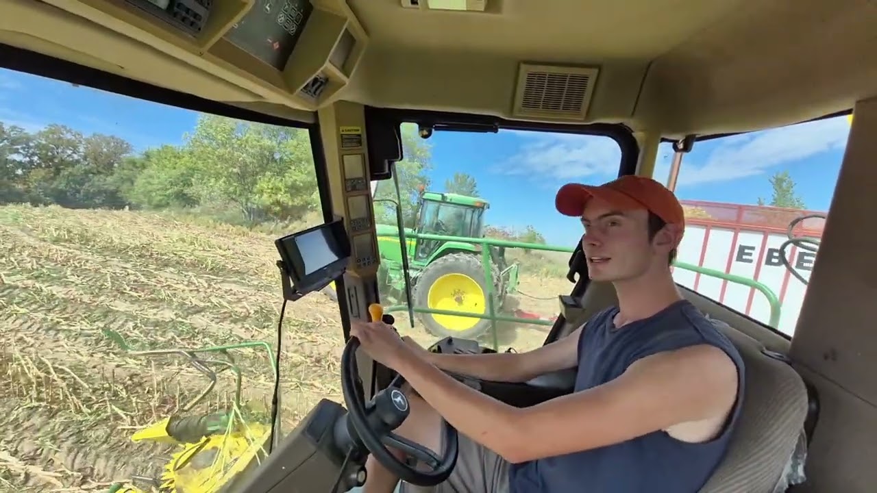 First day of chopping 🌽 🍿!