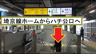 ついに完成した渋谷駅埼京線新ホーム 埼京線ホームからハチ公口改札まで向かった風景 Youtube