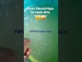 Yanex Bleach Hypo Removes Stack Stains Yanex Bleach Hypo Removes Stack Stains