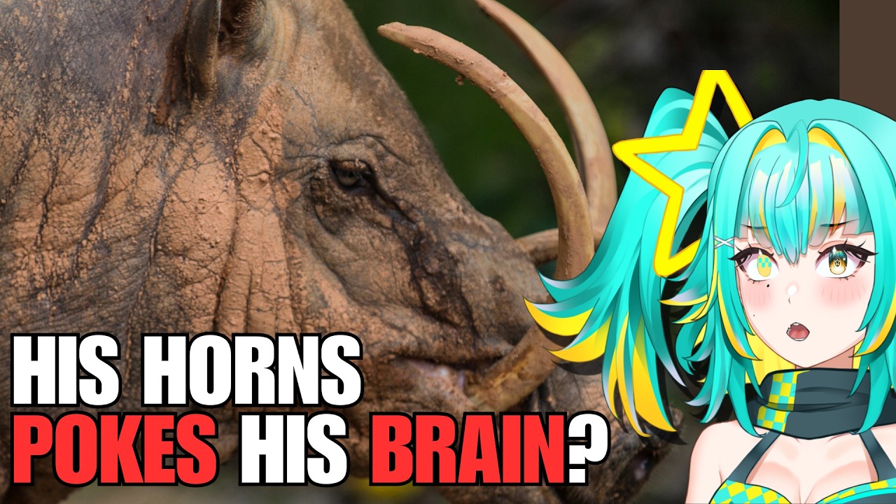 THESE ANIMALS ARE F-TIER | Casual Geographic Reaction