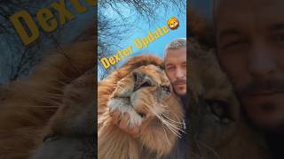 Details Update on Dexter🦁 Guide
