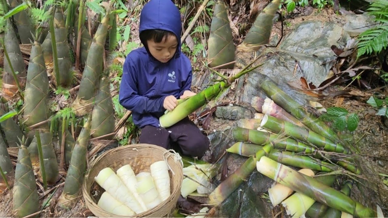 The orphan boy went into the forest to cut bamboo- picked some bamboo ...