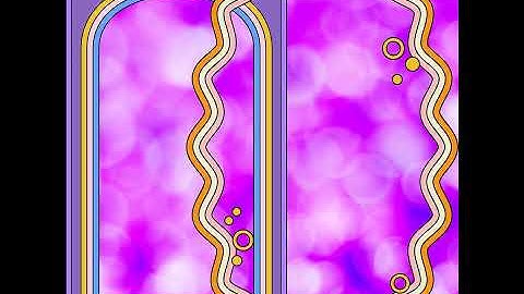 Alluring Forgetting Vision