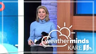 WeatherMinds at Home: Hurricanes
