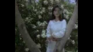 (JANJI) rhoma irama sountrack film gitar tua