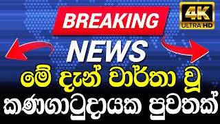 Today Breaking News | Sri Lanka Sinhala | Hiru Breaking News  | This Is A Very Special NewsTODAY