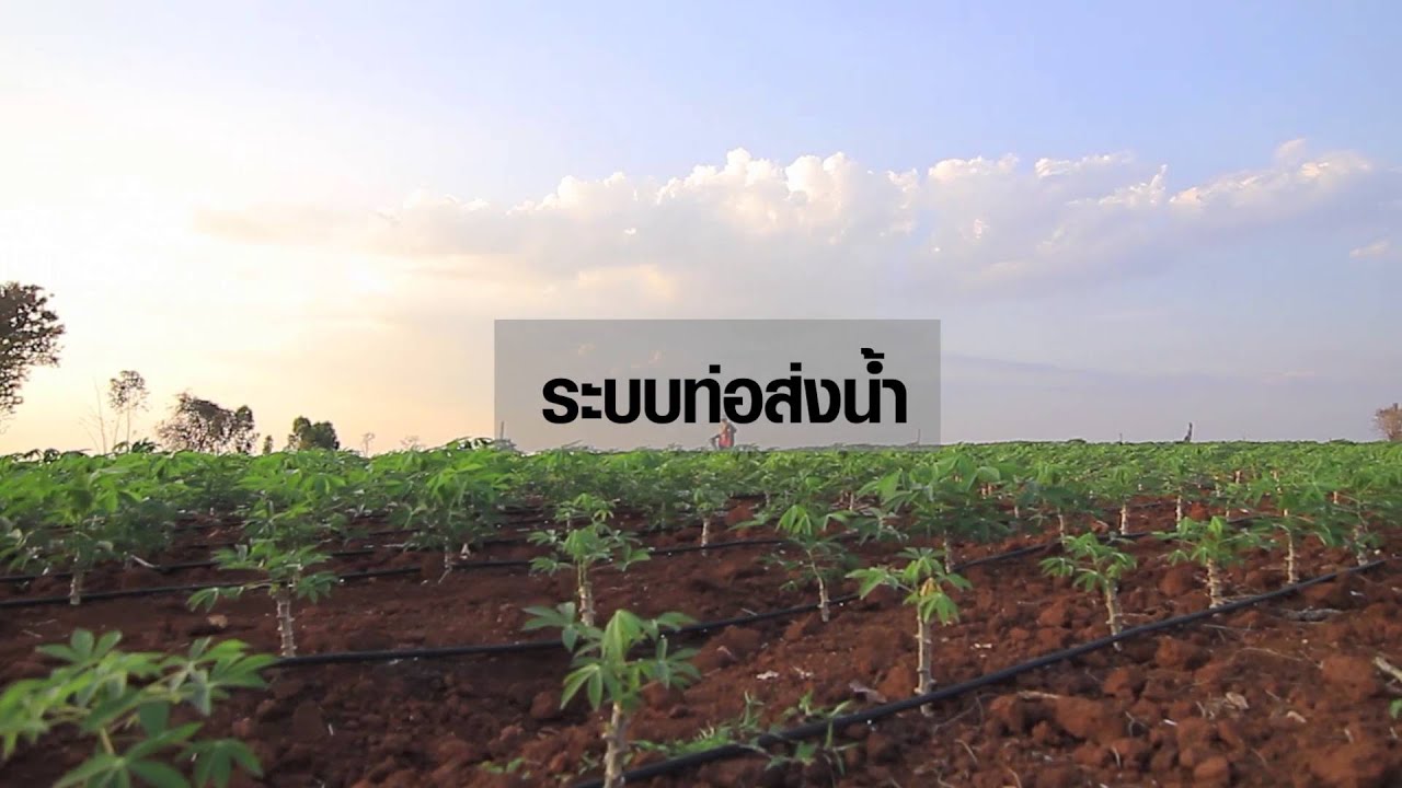 ระบบท่อส่งน้ำ