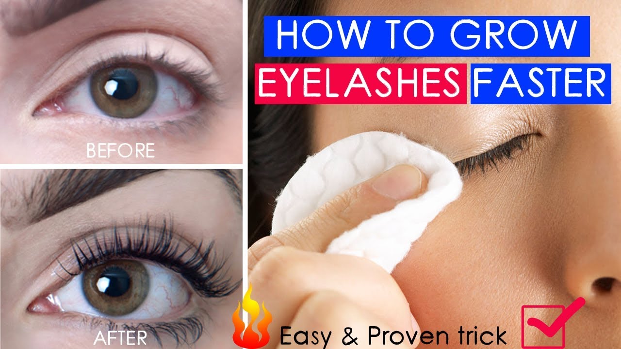 How to grow eyelashes with coconut oil Coconut oil for eyelashe