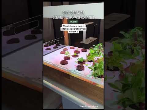 Video: Reinventing Indoor Záhradníctvo: Kliknite a rast Elektronické Flowerpots