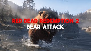 Red Dead Redemption 2 - Bear Attack