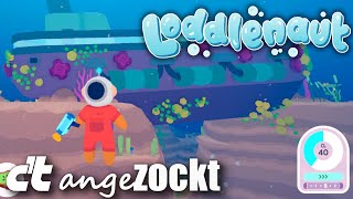 Mikroplastiksauger & Loddle-Aufzucht: Loddlenaut | c’t angezockt | Linux/Proton