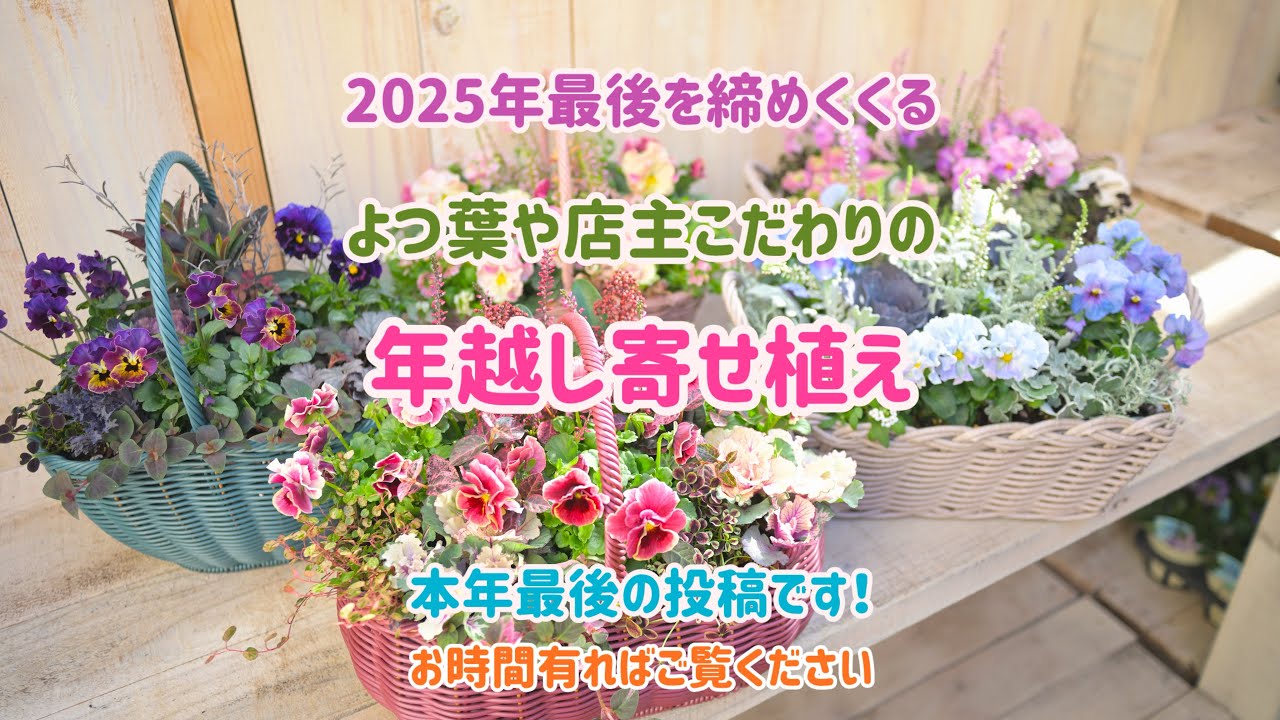 よつ葉や店主こだわりの年越し寄せ植え　本年最後の投稿となります。。。　お時間有ればご覧ください。。。