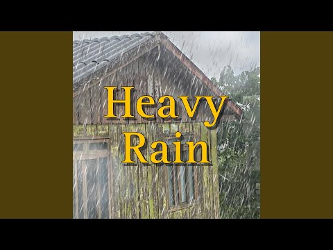 Sound of Heavy Rain With Thunder, Pt. 13