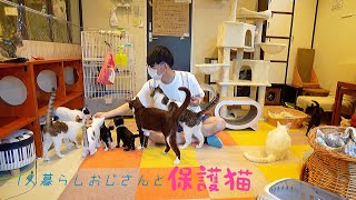 保護猫2匹目飼う事にしました