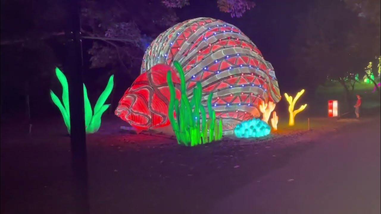 Boston Franklin park zoo light show YouTube