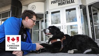 Quebecer graduating from university along with service dog who attended every class