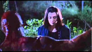 Dark Willow's Revenge