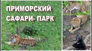 ПРИМОРСКИЙ САФАРИ- ПАРК И ЕГО ОБИТАТЕЛИ 🐨🐈🐯🐐🐻 ПРИМОРСКИЙ САФАРИ- ПАРК И ЕГО ОБИТАТЕЛИ 🐨🐈🐯🐐🐻