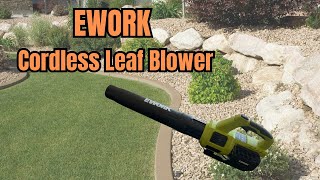 My Go-To The EWORK Leaf Blower for Quick Cleanups!
