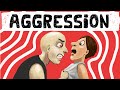 Theories of Aggression in Social Psychology