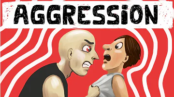 What theory explains aggression?
