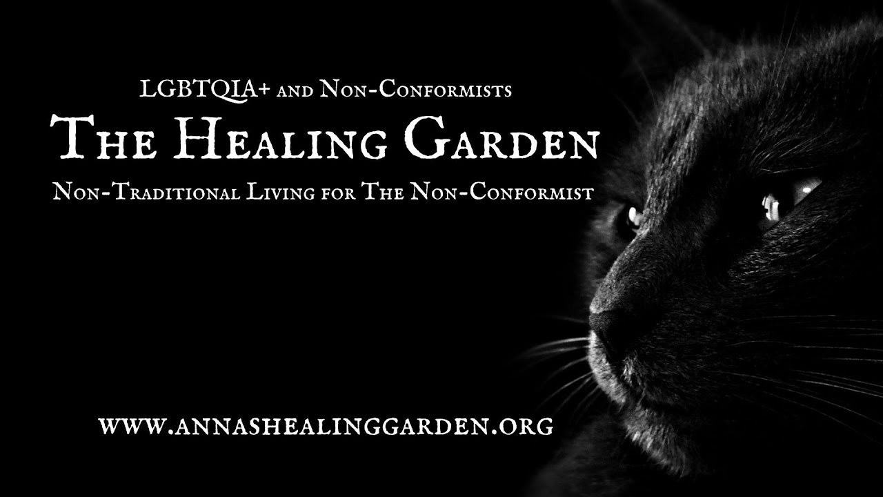 Anna Imagination Interview for The Summit