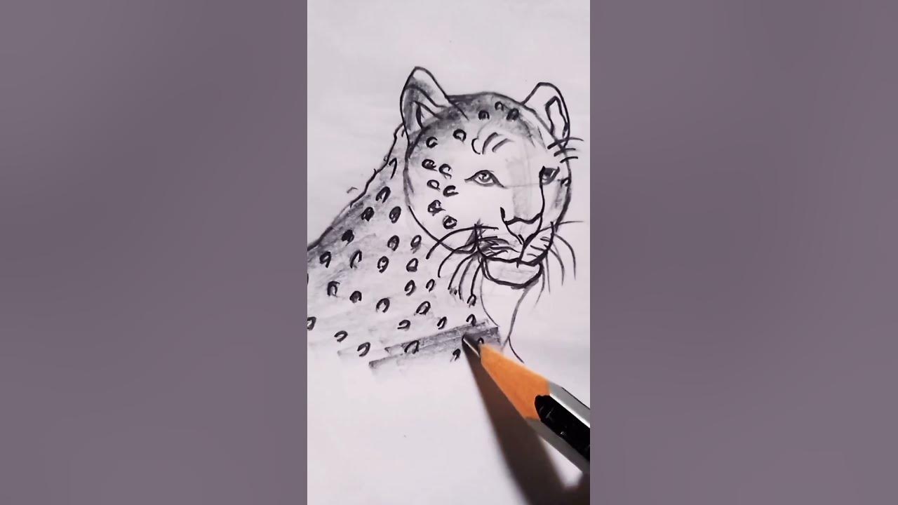 How to draw leopard - YouTube
