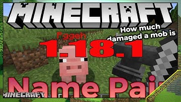 Name Pain Mod 1.18.1 & How To Download and Install for Minecraft
