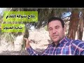 علاج شوكة القدم بتجربة فعالة مع شجرة الصنوبر