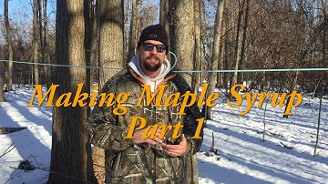 How to Make Maple Syrup (Part 1)