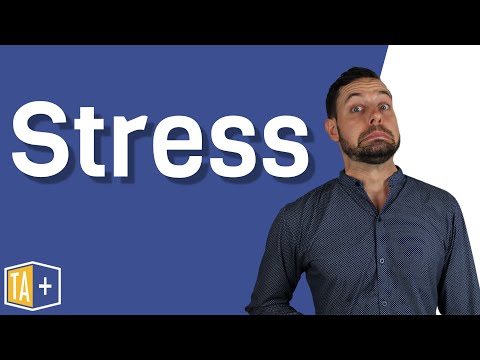 Video: Was ist Stress laut Autoren?