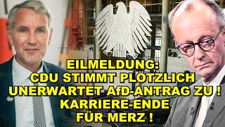 EIL: CDU stimmt AfD-ANTRAG ZU! Merz STÜRZT! @Neverforgetnikichannel