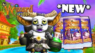 Wizard101 New 2025 Winter Witch Pack