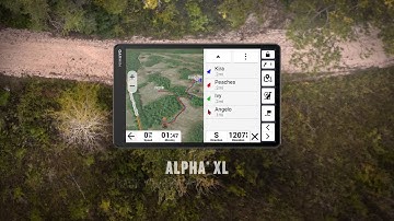Garmin | Alpha XL Dog-tracking GPS Navigator