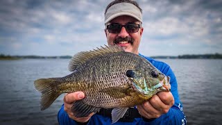 Summer Transition: Lake Panfish, Rocky Ridge Safari, & Bear Camp Prep