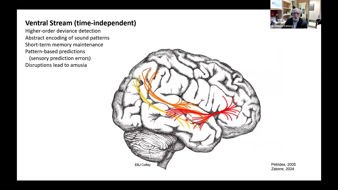 Music4Pain Webinar: The Neuroscience of Musical Pleasure